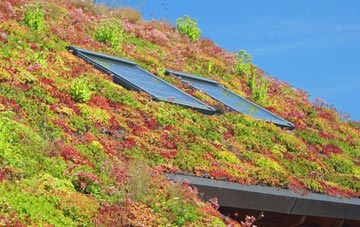 Evenley living roof systems
